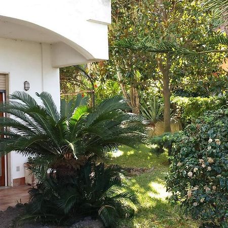 Giardino Mediterraneo Lacco Ameno  Exteriér fotografie