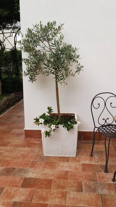 Giardino Mediterraneo Lacco Ameno  Exteriér fotografie