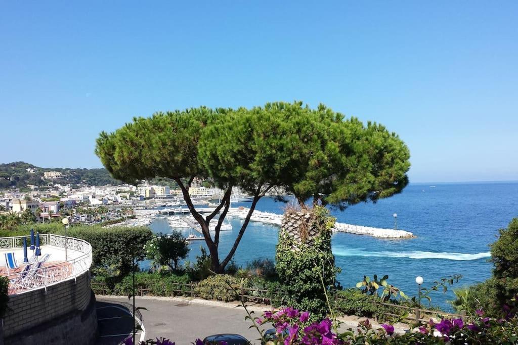 Giardino Mediterraneo Lacco Ameno  Exteriér fotografie