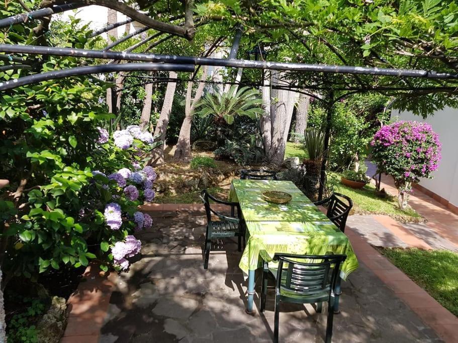 Giardino Mediterraneo Lacco Ameno  Exteriér fotografie
