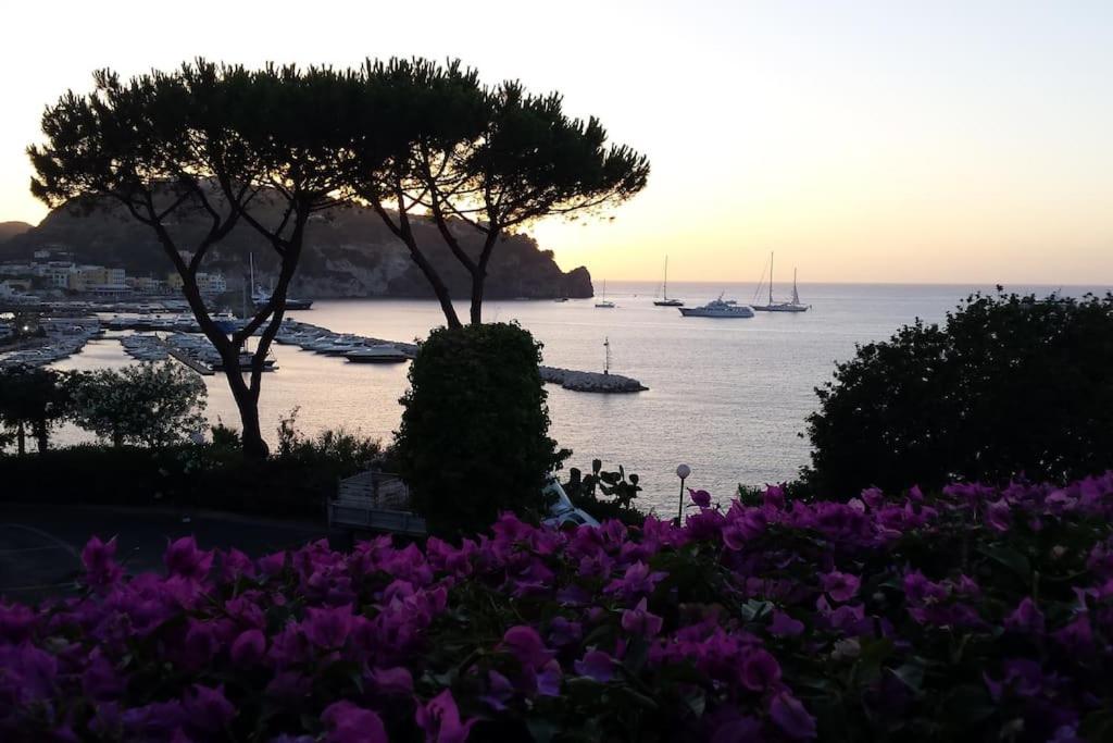 Giardino Mediterraneo Lacco Ameno  Exteriér fotografie