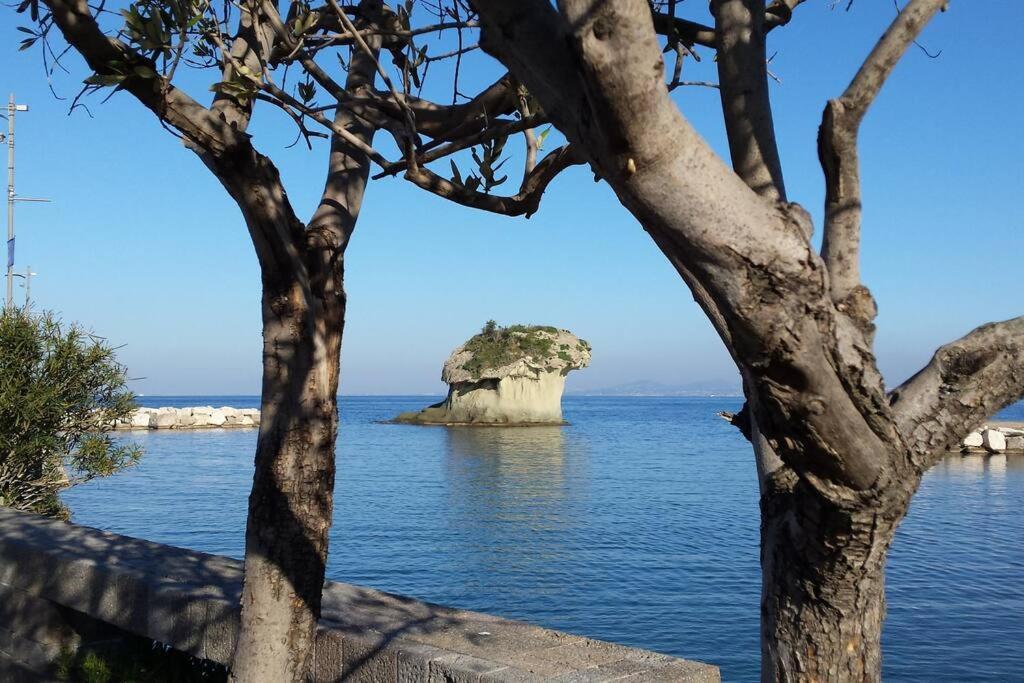 Giardino Mediterraneo Lacco Ameno  Exteriér fotografie