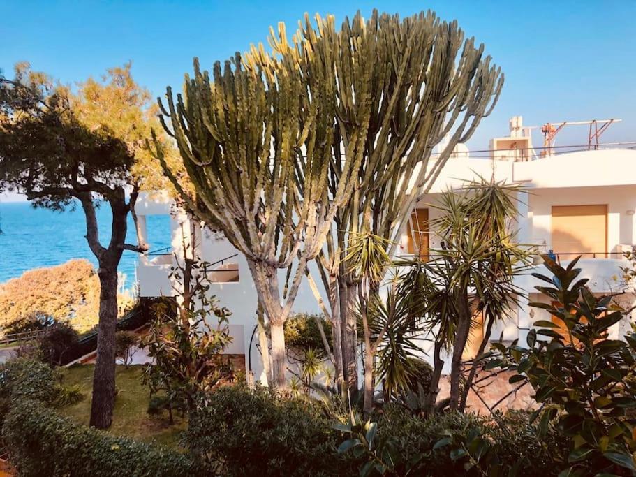 Giardino Mediterraneo Lacco Ameno  Exteriér fotografie