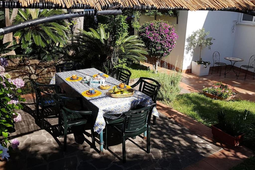 Giardino Mediterraneo Lacco Ameno  Exteriér fotografie