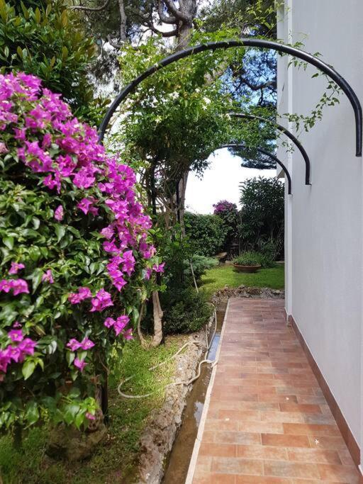 Giardino Mediterraneo Lacco Ameno  Exteriér fotografie